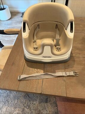 Ingenuity Beige travel Seat with Safety Straps